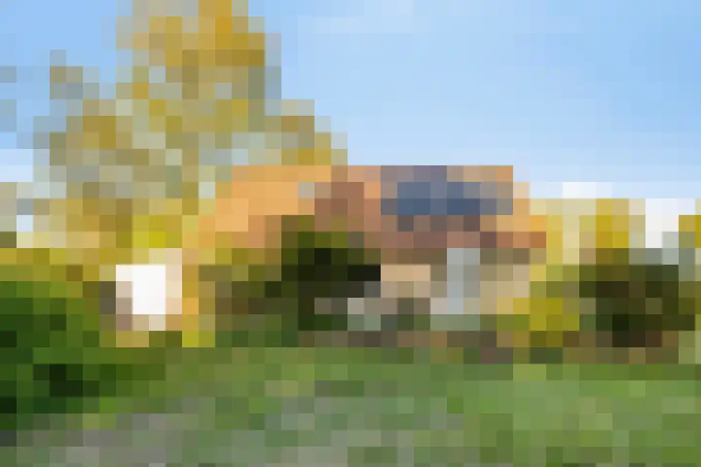 Holle Drift 78 Schipborg thumbnail 41