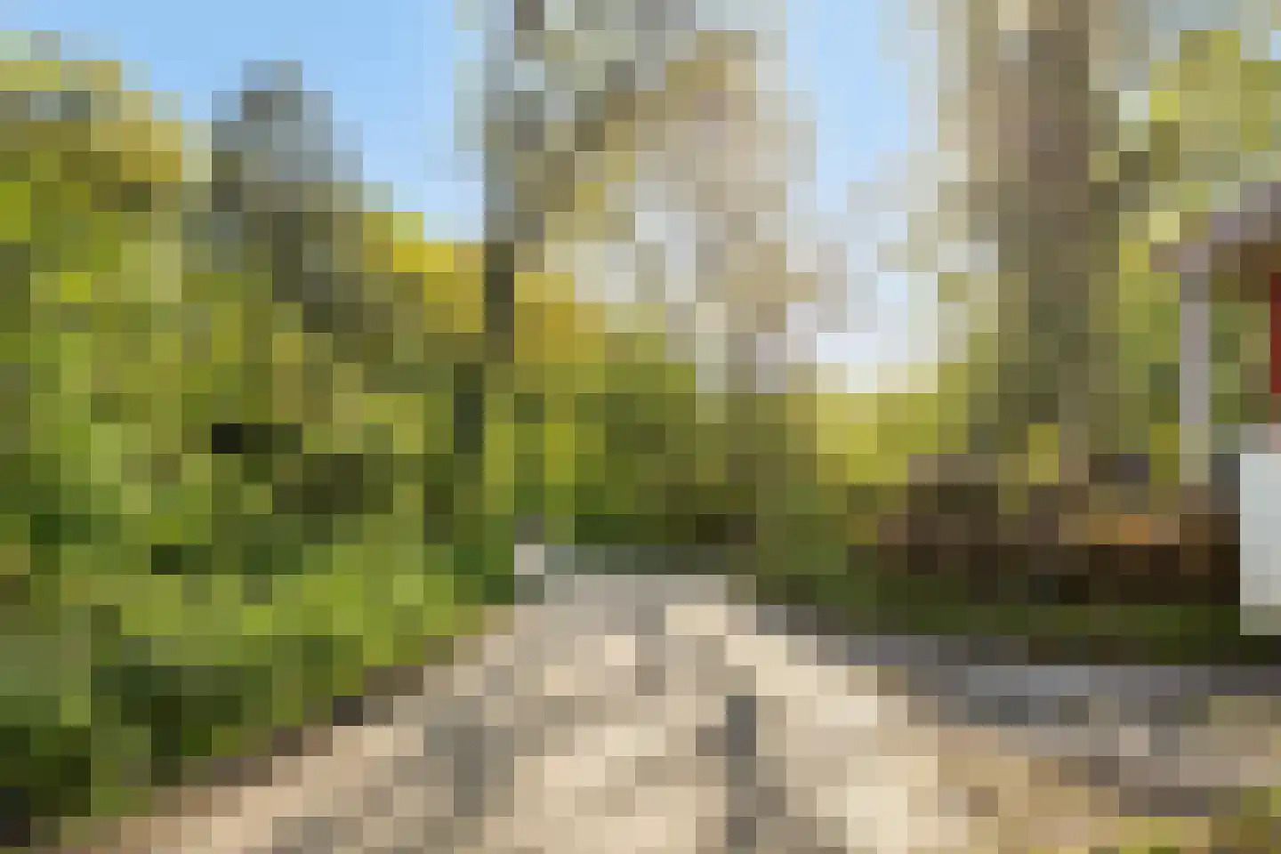Holle Drift 78 Schipborg thumbnail 43