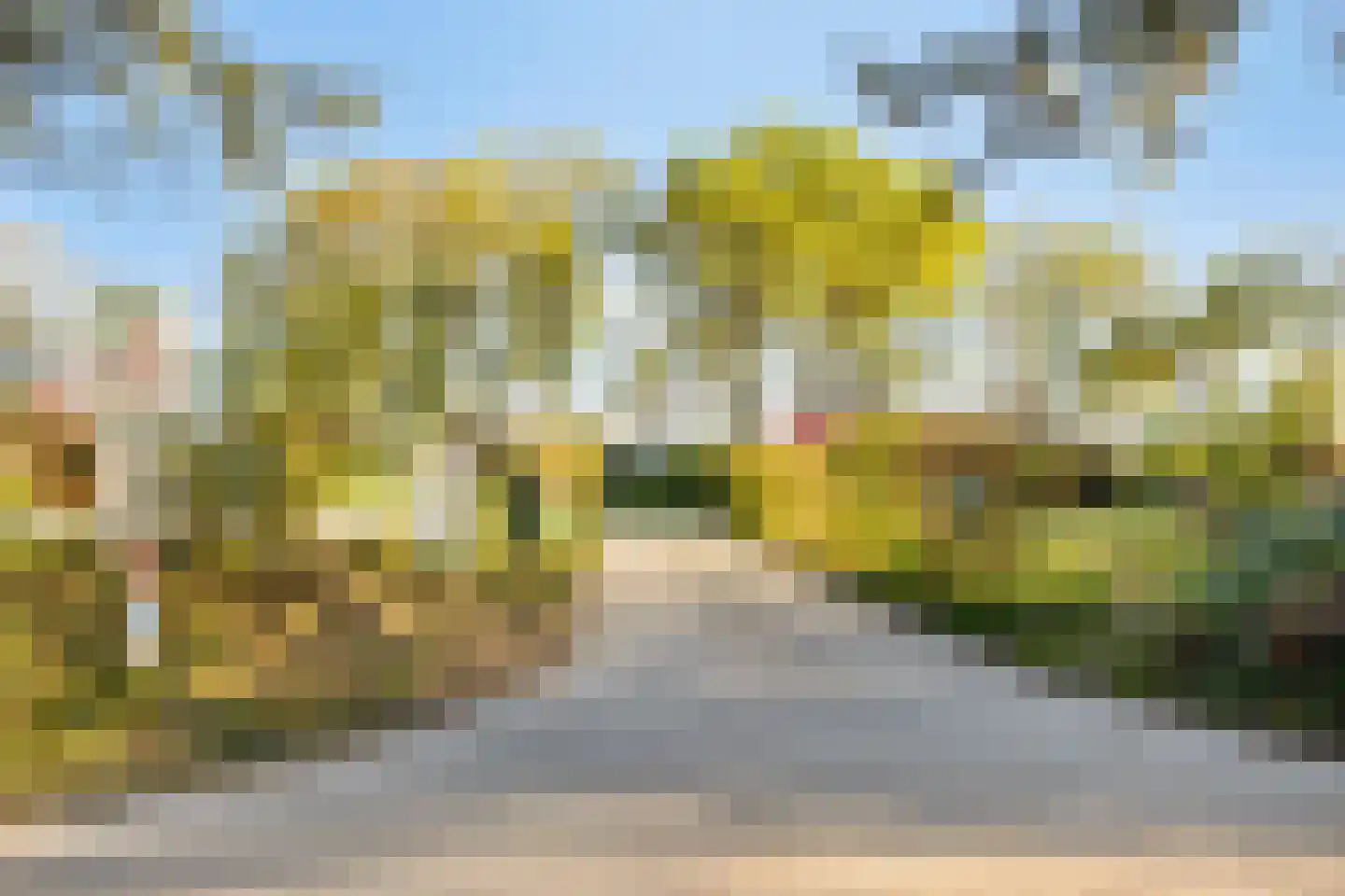 Holle Drift 78 Schipborg thumbnail 44