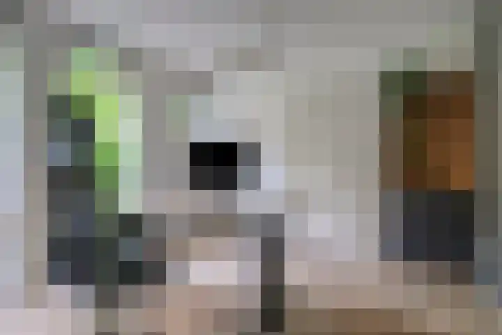 Holleberg 2 Asten thumbnail 10