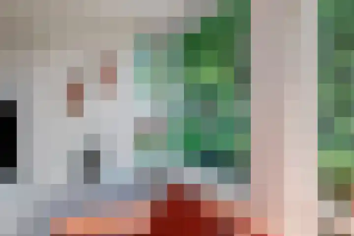 Holleberg 2 Asten thumbnail 13
