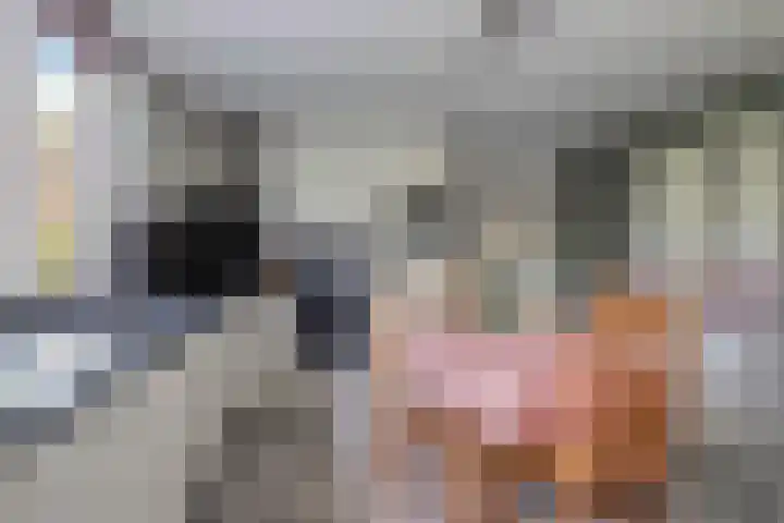 Holleberg 2 Asten thumbnail 17