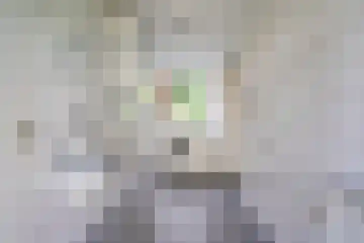 Holleberg 2 Asten thumbnail 19