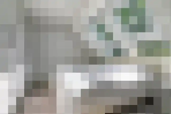 Holleberg 2 Asten thumbnail 26