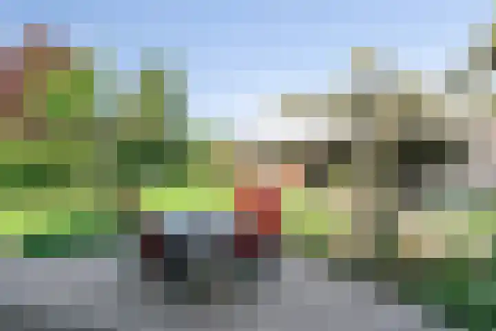 Holleberg 2 Asten thumbnail 31