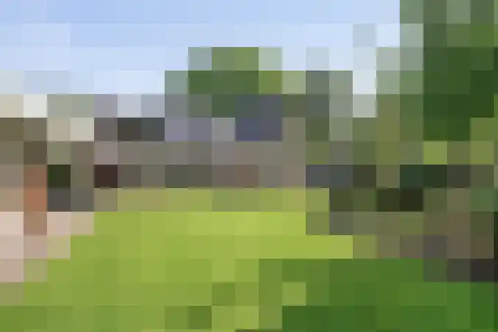 Holleberg 2 Asten thumbnail 32