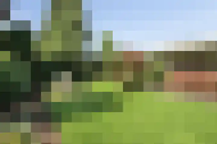 Holleberg 2 Asten thumbnail 33