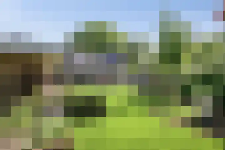 Holleberg 2 Asten thumbnail 34