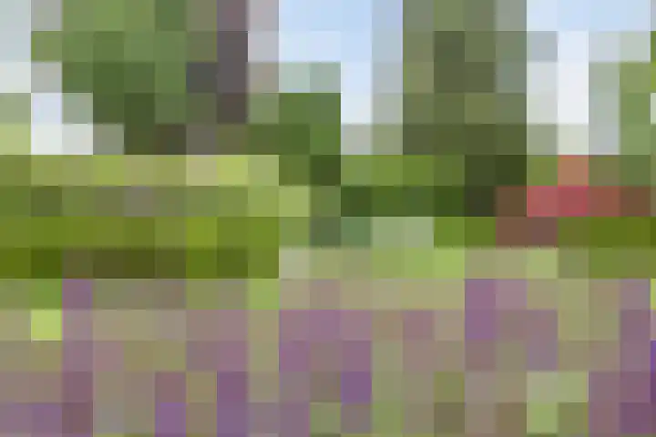 Holleberg 2 Asten thumbnail 35