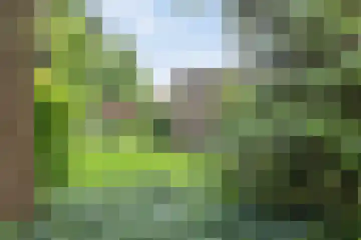 Holleberg 2 Asten thumbnail 36