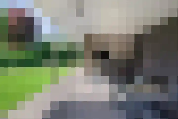 Holleberg 2 Asten thumbnail 38