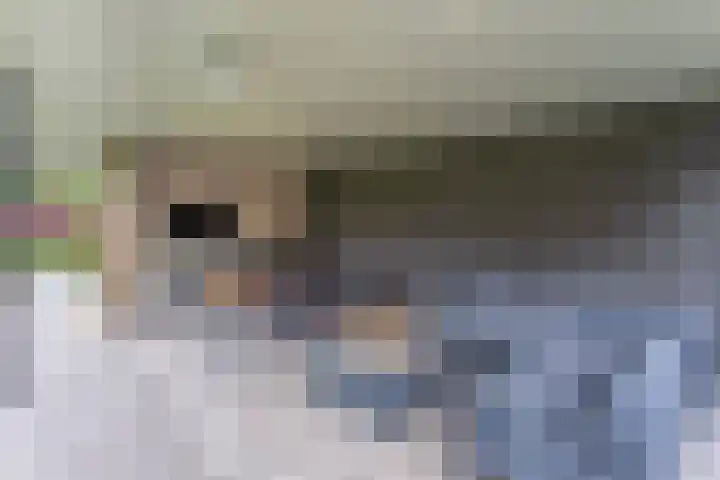 Holleberg 2 Asten thumbnail 39