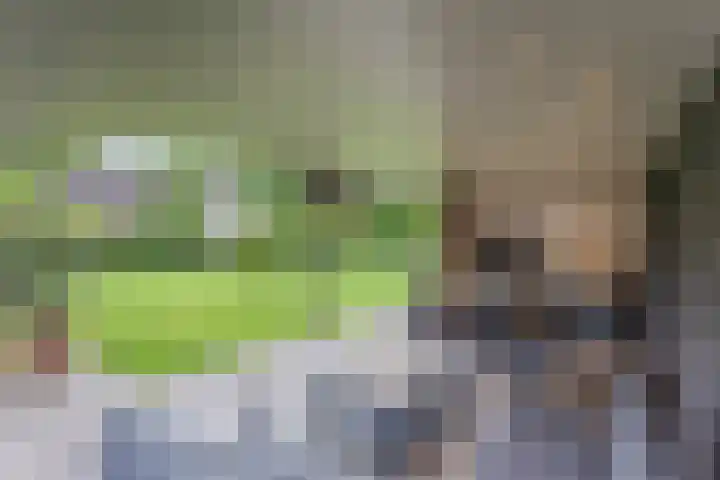 Holleberg 2 Asten thumbnail 40