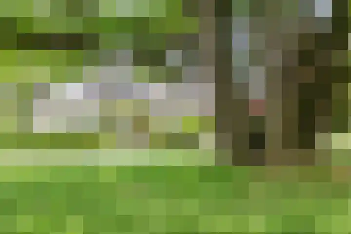 Holleberg 2 Asten thumbnail 42