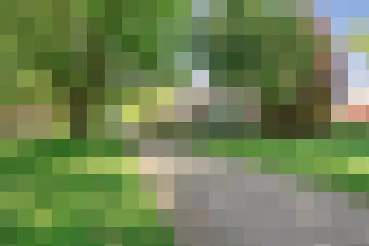 Holleberg 2 Asten thumbnail 43