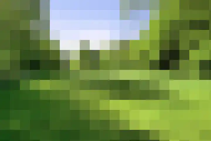 Holleberg 2 Asten thumbnail 45