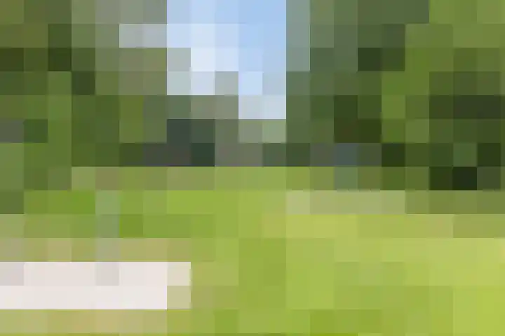 Holleberg 2 Asten thumbnail 46