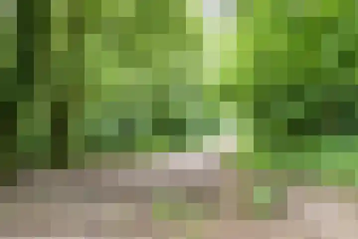 Holleberg 2 Asten thumbnail 47