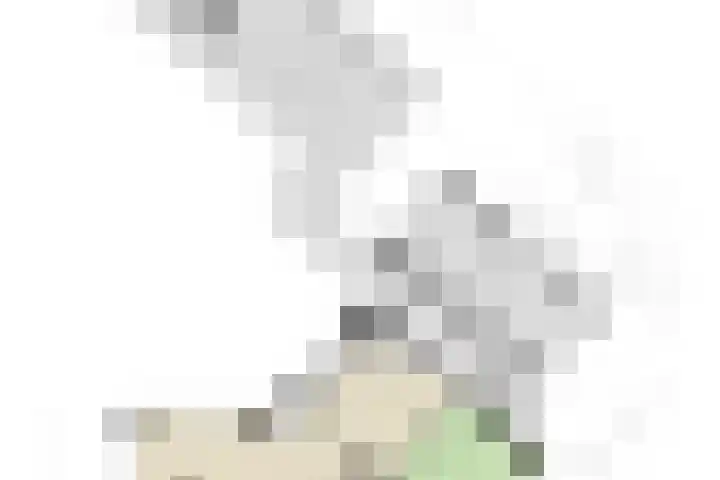 Holleberg 2 Asten thumbnail 49
