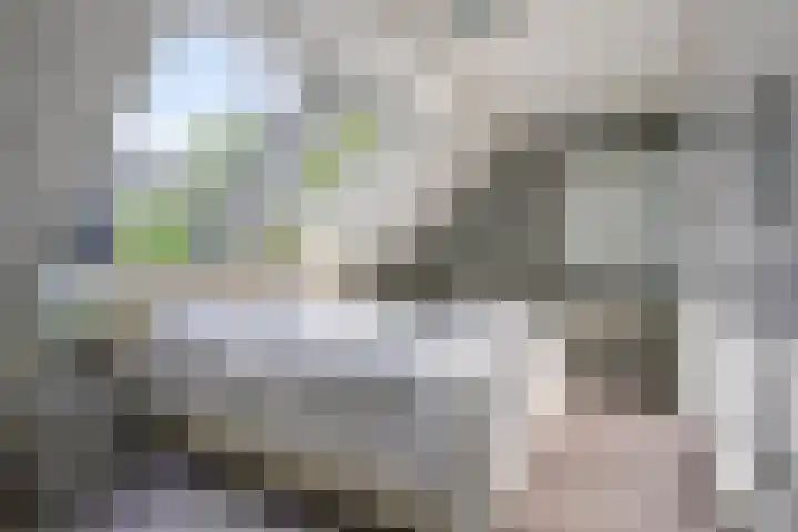 Holleberg 2 Asten thumbnail 5