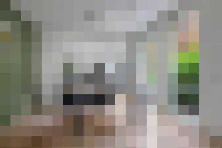 Holleberg 2 Asten thumbnail 9
