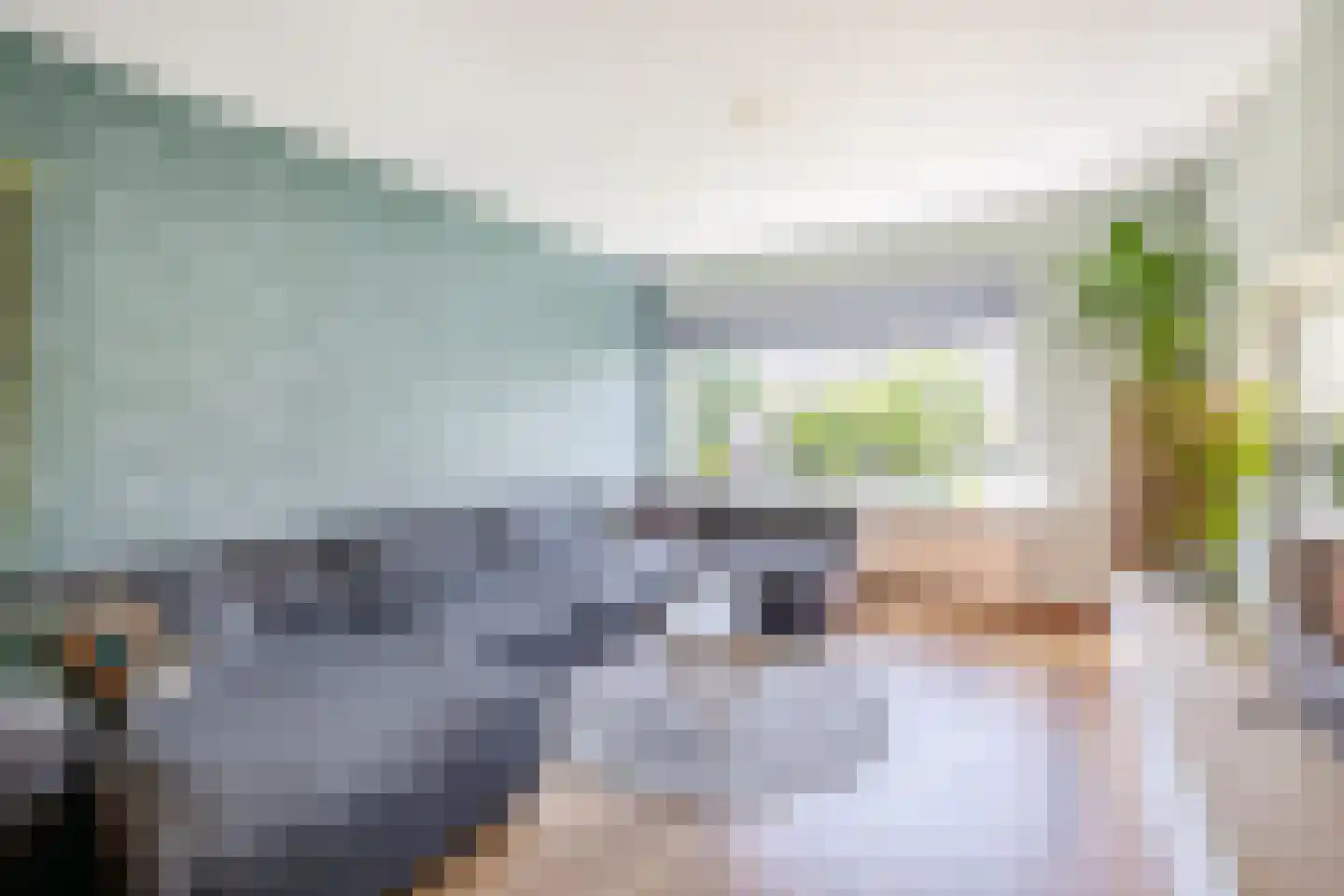 Hollemarestraat 28 Zwartewaal thumbnail 11
