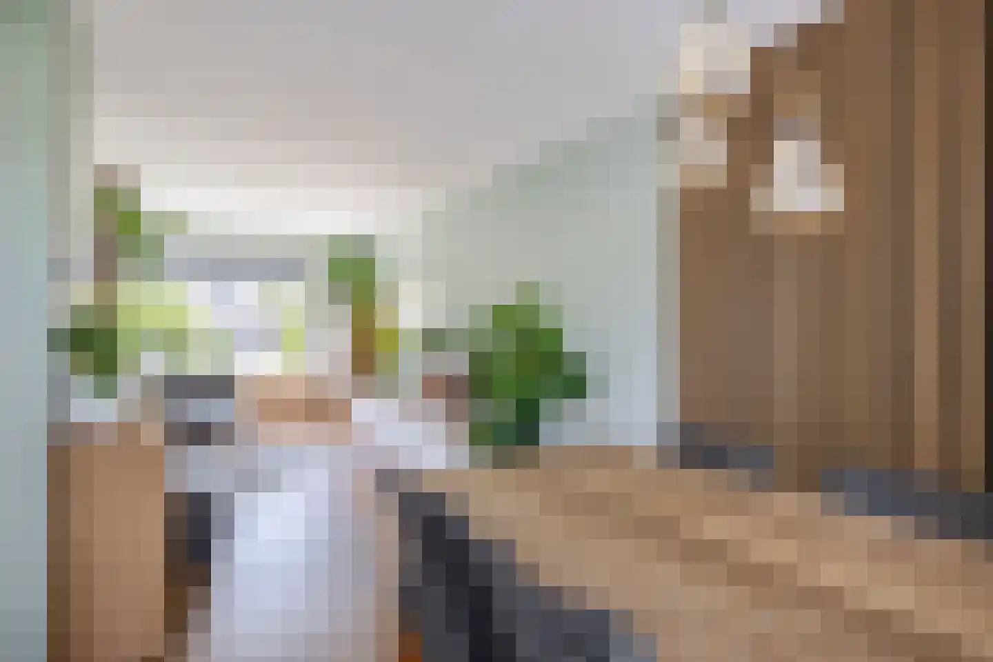 Hollemarestraat 28 Zwartewaal thumbnail 15