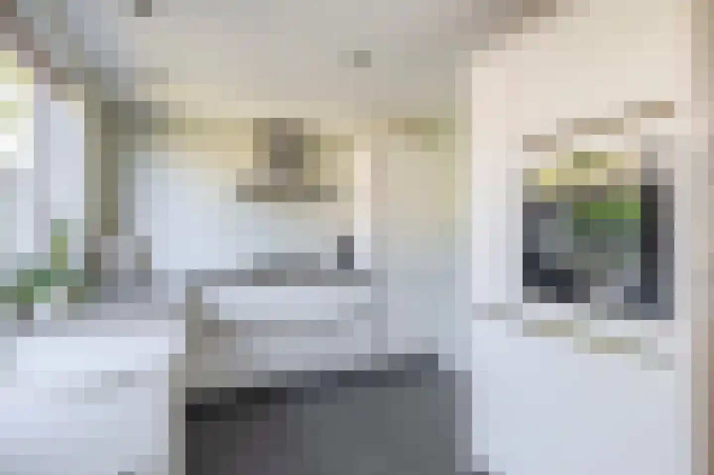 Hollemarestraat 28 Zwartewaal thumbnail 17