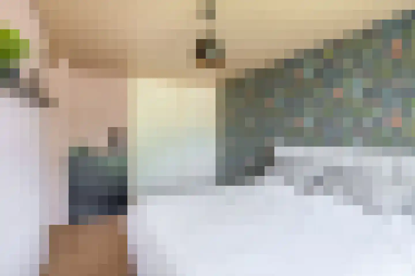 Hollemarestraat 28 Zwartewaal thumbnail 23