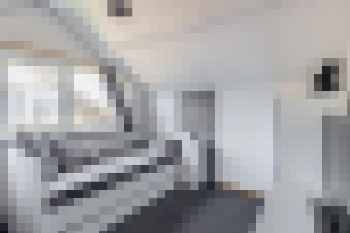 Hollemarestraat 28 Zwartewaal thumbnail 30