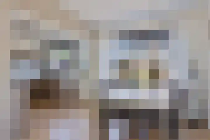 Hollemarestraat 42 Zwartewaal thumbnail 10