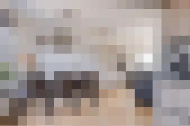 Hollemarestraat 42 Zwartewaal thumbnail 11