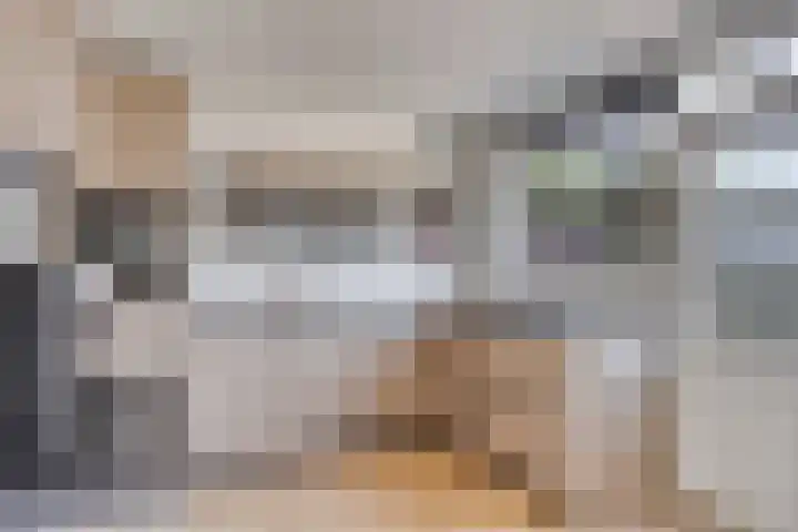Hollemarestraat 42 Zwartewaal thumbnail 13