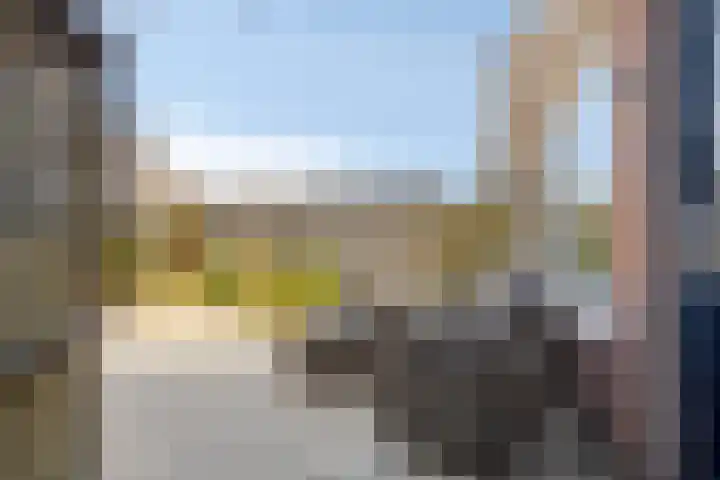 Hollemarestraat 42 Zwartewaal thumbnail 24