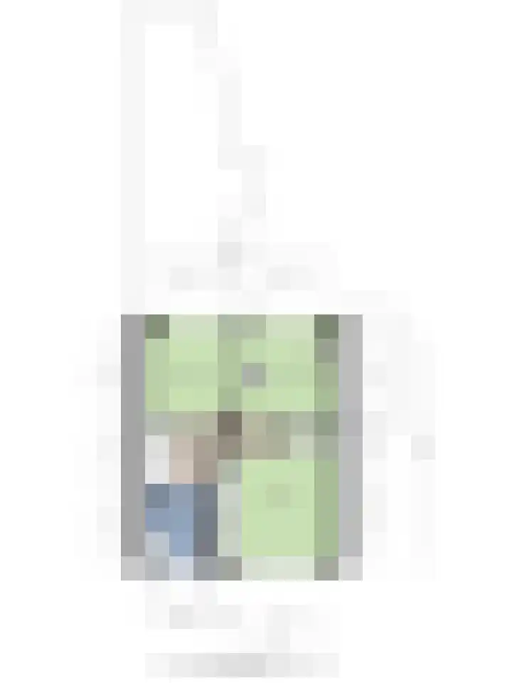 Hollemarestraat 42 Zwartewaal thumbnail 30