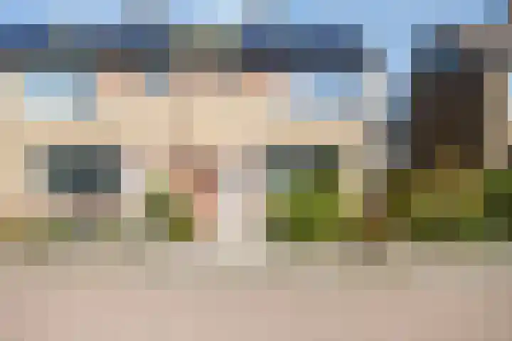 Hollemarestraat 42 Zwartewaal thumbnail 4