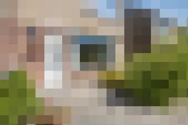 Hollemarestraat 42 Zwartewaal thumbnail 5