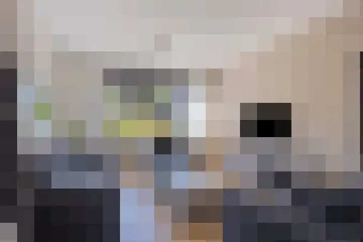 Hollemarestraat 42 Zwartewaal thumbnail 7
