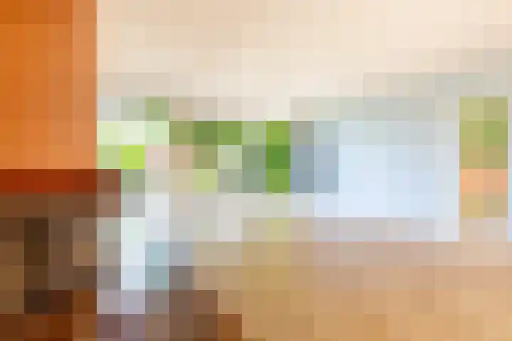 Hollemarestraat 55 Zwartewaal thumbnail 10