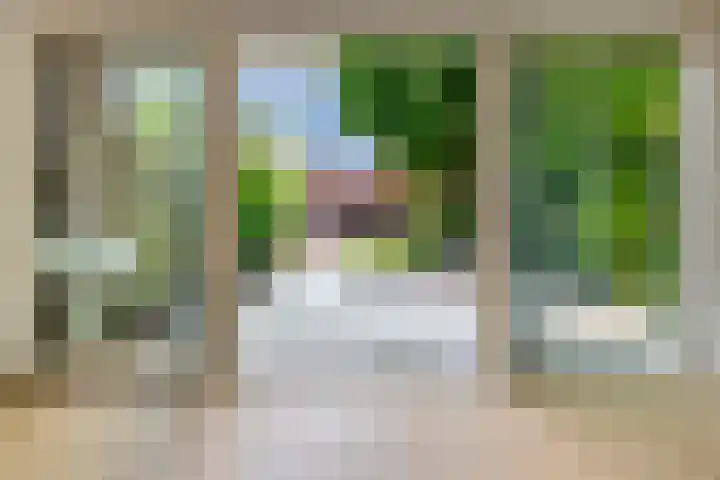 Hollemarestraat 55 Zwartewaal thumbnail 14