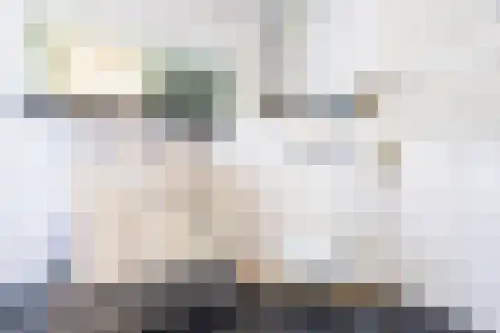 Hollemarestraat 55 Zwartewaal thumbnail 19