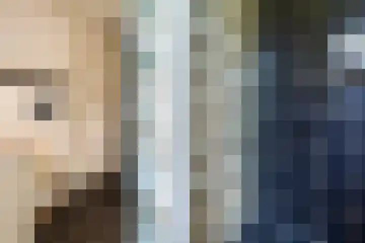 Hollemarestraat 55 Zwartewaal thumbnail 20