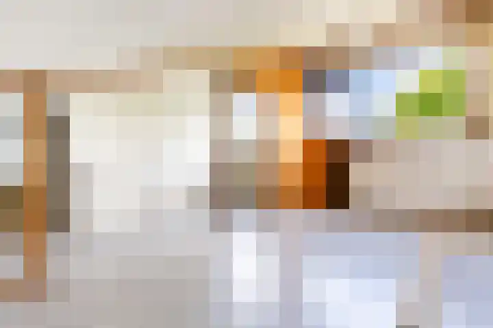 Hollemarestraat 55 Zwartewaal thumbnail 21