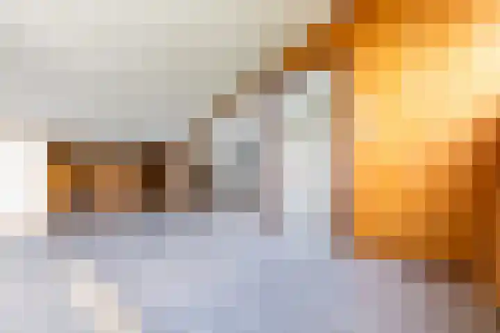Hollemarestraat 55 Zwartewaal thumbnail 22