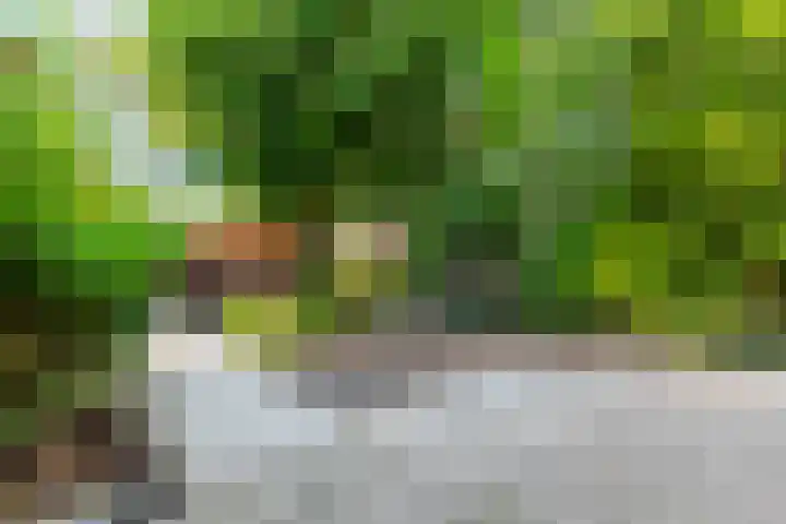 Hollemarestraat 55 Zwartewaal thumbnail 23