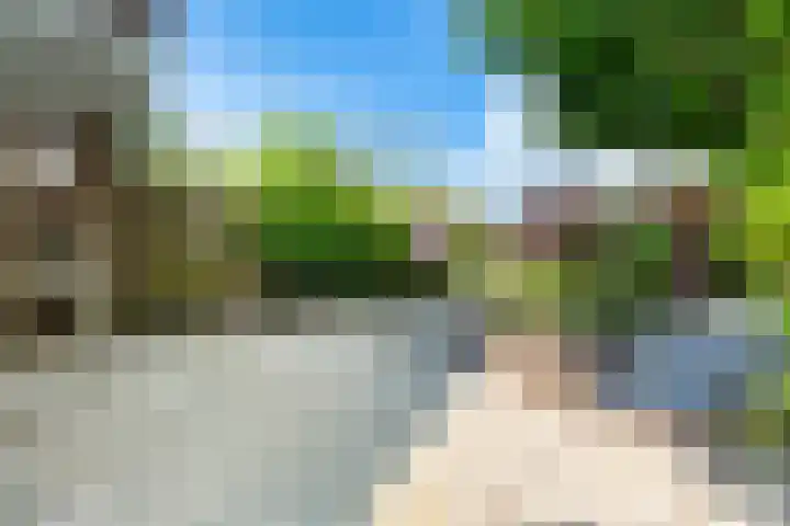 Hollemarestraat 55 Zwartewaal thumbnail 24
