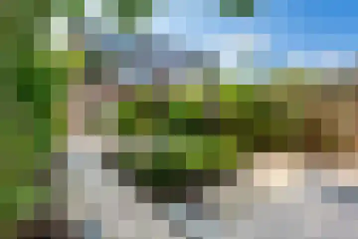 Hollemarestraat 55 Zwartewaal thumbnail 25