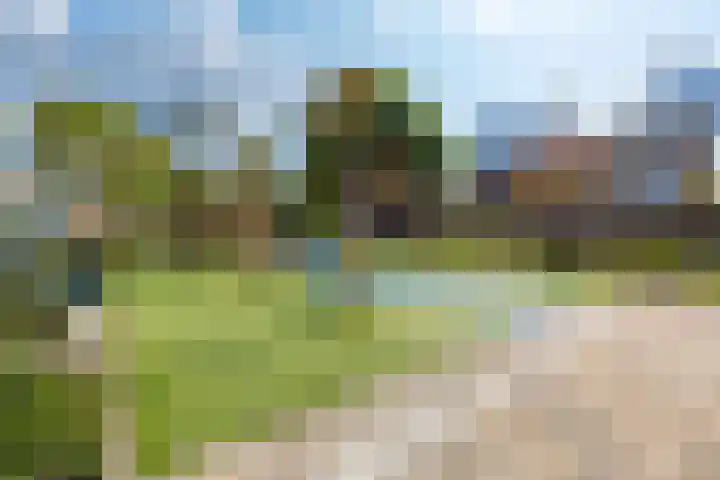 Hollemarestraat 55 Zwartewaal thumbnail 28