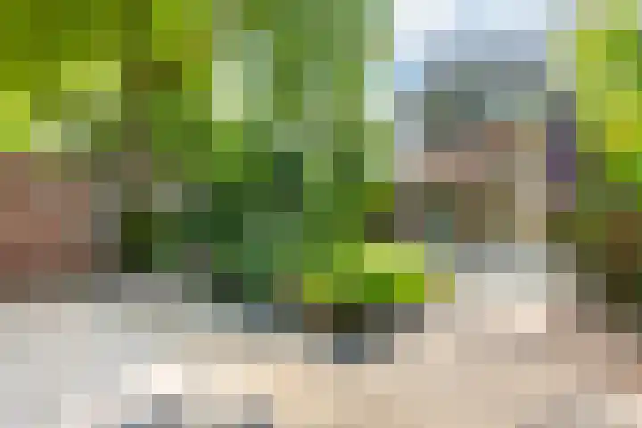 Hollemarestraat 55 Zwartewaal thumbnail 4