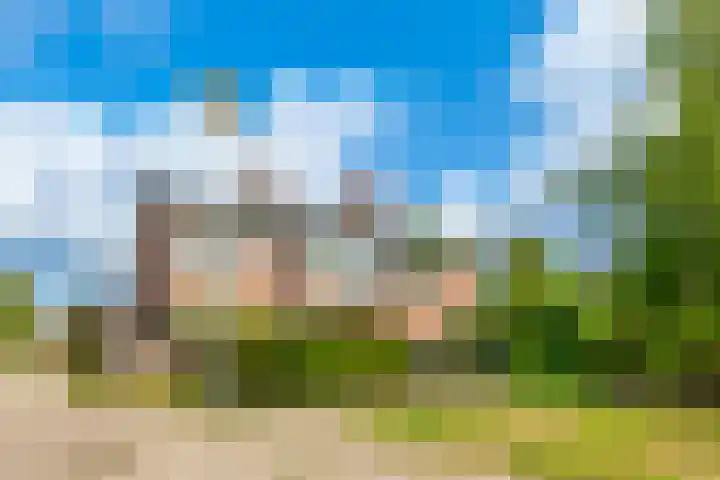 Hollemarestraat 55 Zwartewaal thumbnail 5
